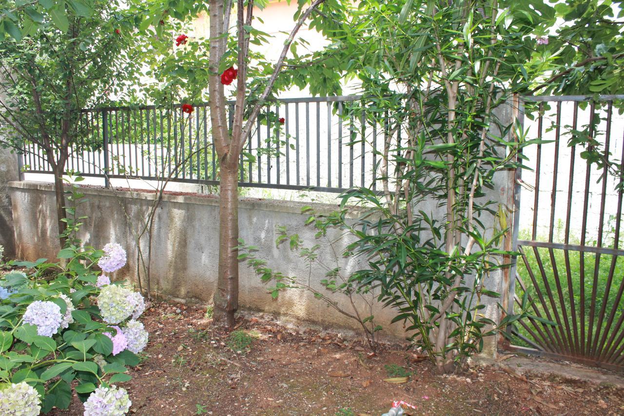 Apartments Ana بولا المظهر الخارجي الصورة